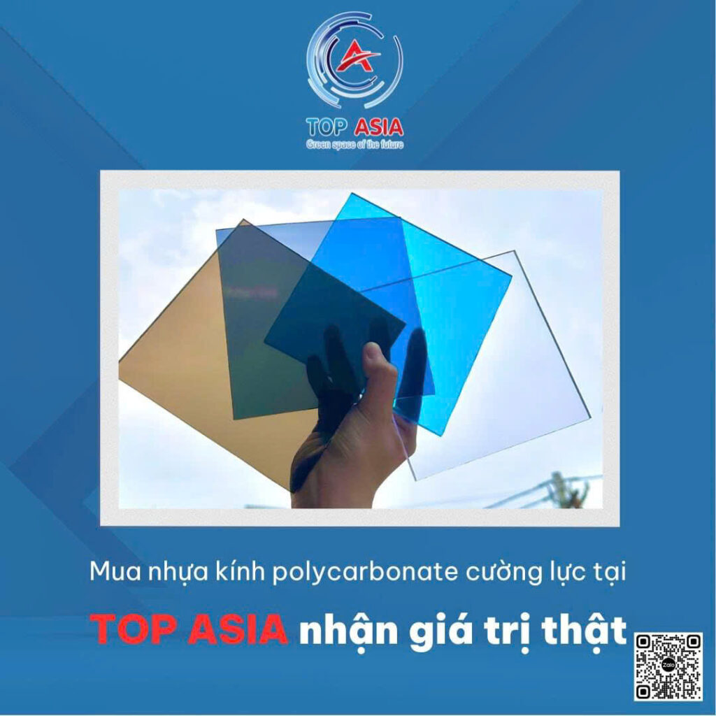 tam-nhua-thong-minh-lay-sang
